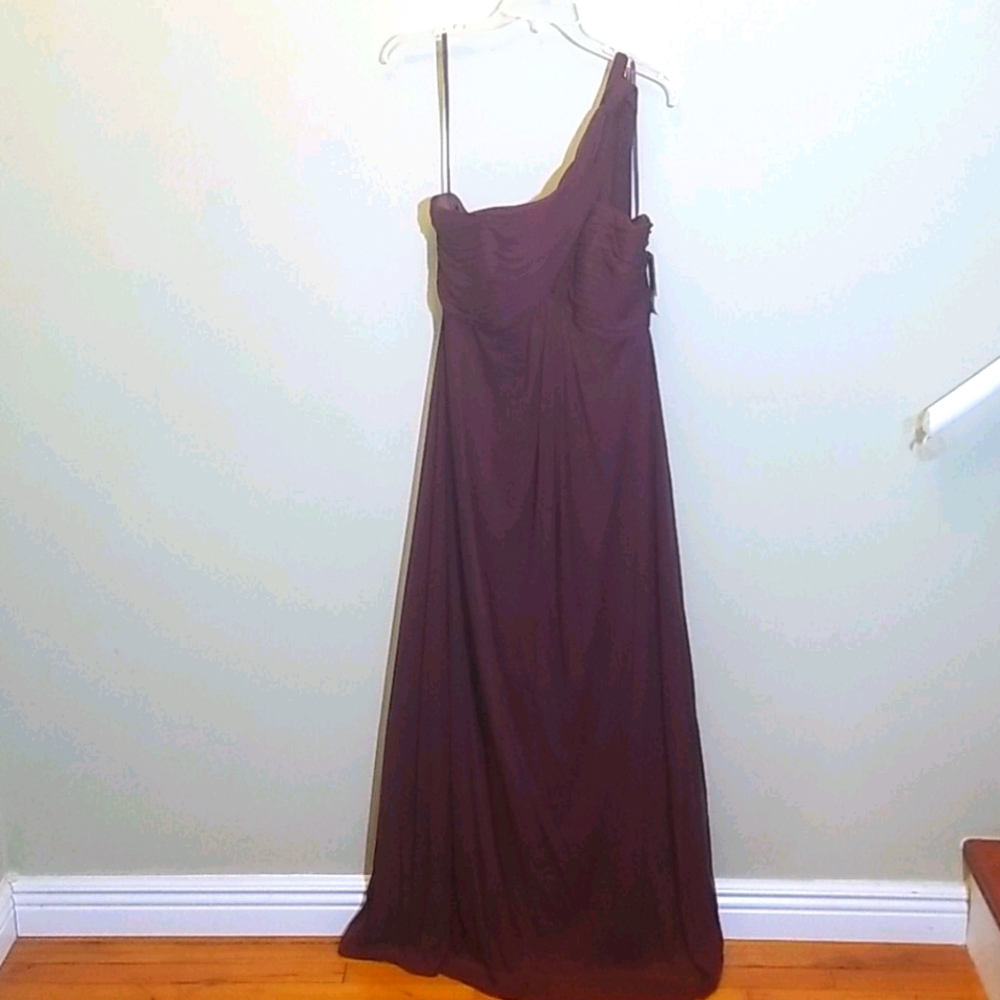 Plum Floor Length One Shoulder Dress